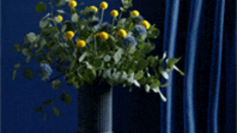 drift-flowers