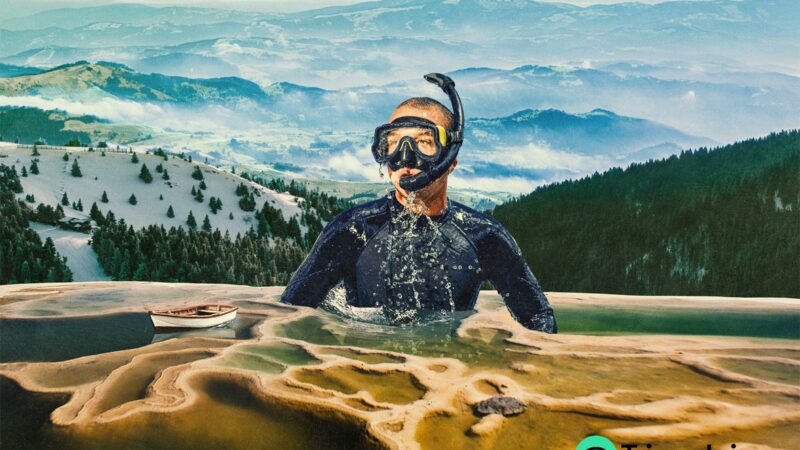 Trends Campaign: Collage Art Direction